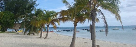 LAGON PLAGE COCOTIERS LE REVE