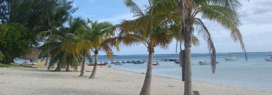 LAGON PLAGE COCOTIERS LE REVE