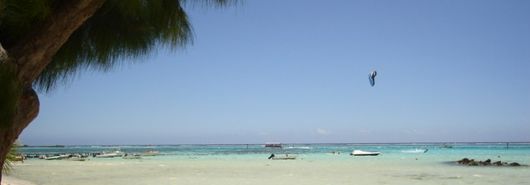 DSC00459.JPG