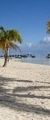 <strong>MOOREA ILE SOEUR DE TAHITI<br>
7 MN DE VO...