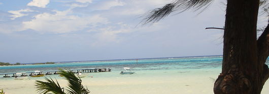 Copie de DSC00361.JPG