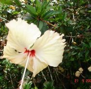 DSC00365.JPG