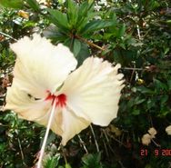 DSC00365.JPG