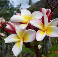 DSC00372.JPG