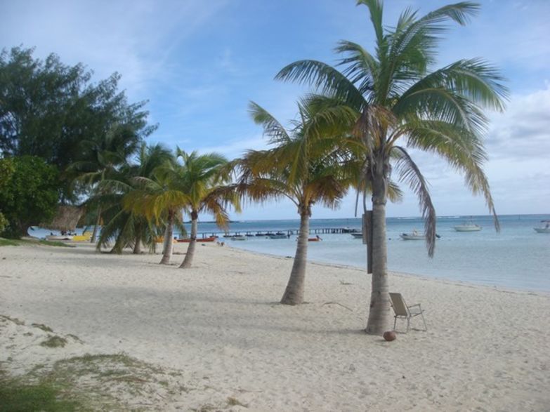 LAGON PLAGE COCOTIERS LE REVE